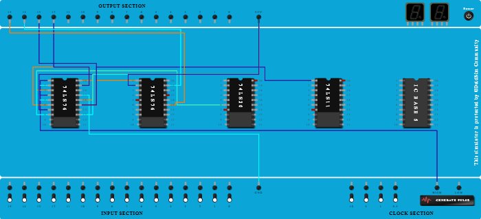 deldsim project